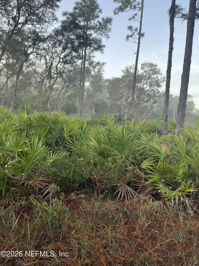 211 Temple Avenue Crescent City FL 32112