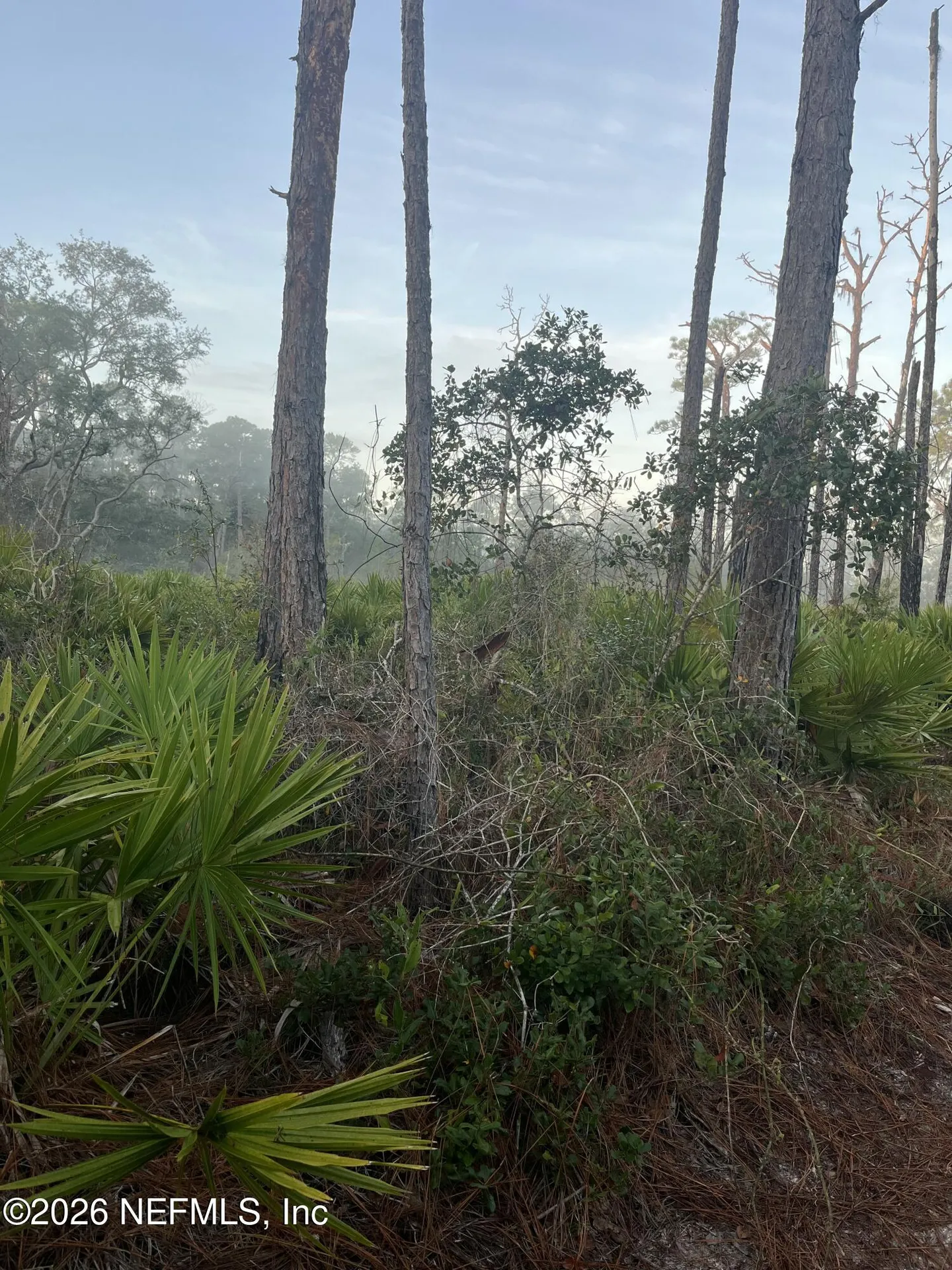 104 Temple Avenue Crescent City FL 32112
