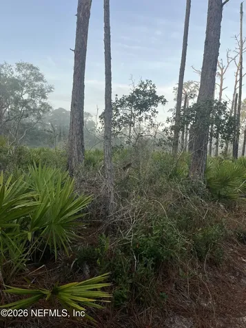 104 Temple Avenue Crescent City FL 32112