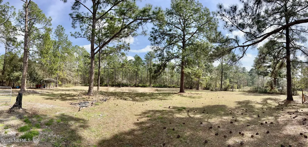 2469 Quarterhorse Trail Middleburg FL 32068