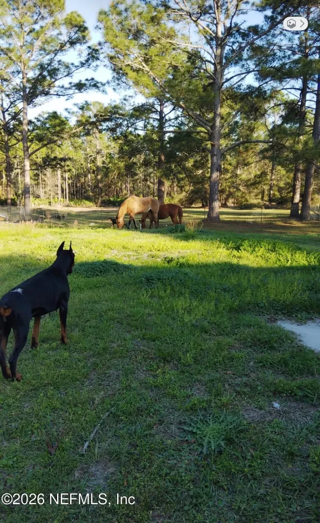 2469 Quarterhorse Trail Middleburg FL 32068