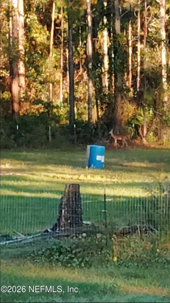 2469 Quarterhorse Trail Middleburg FL 32068