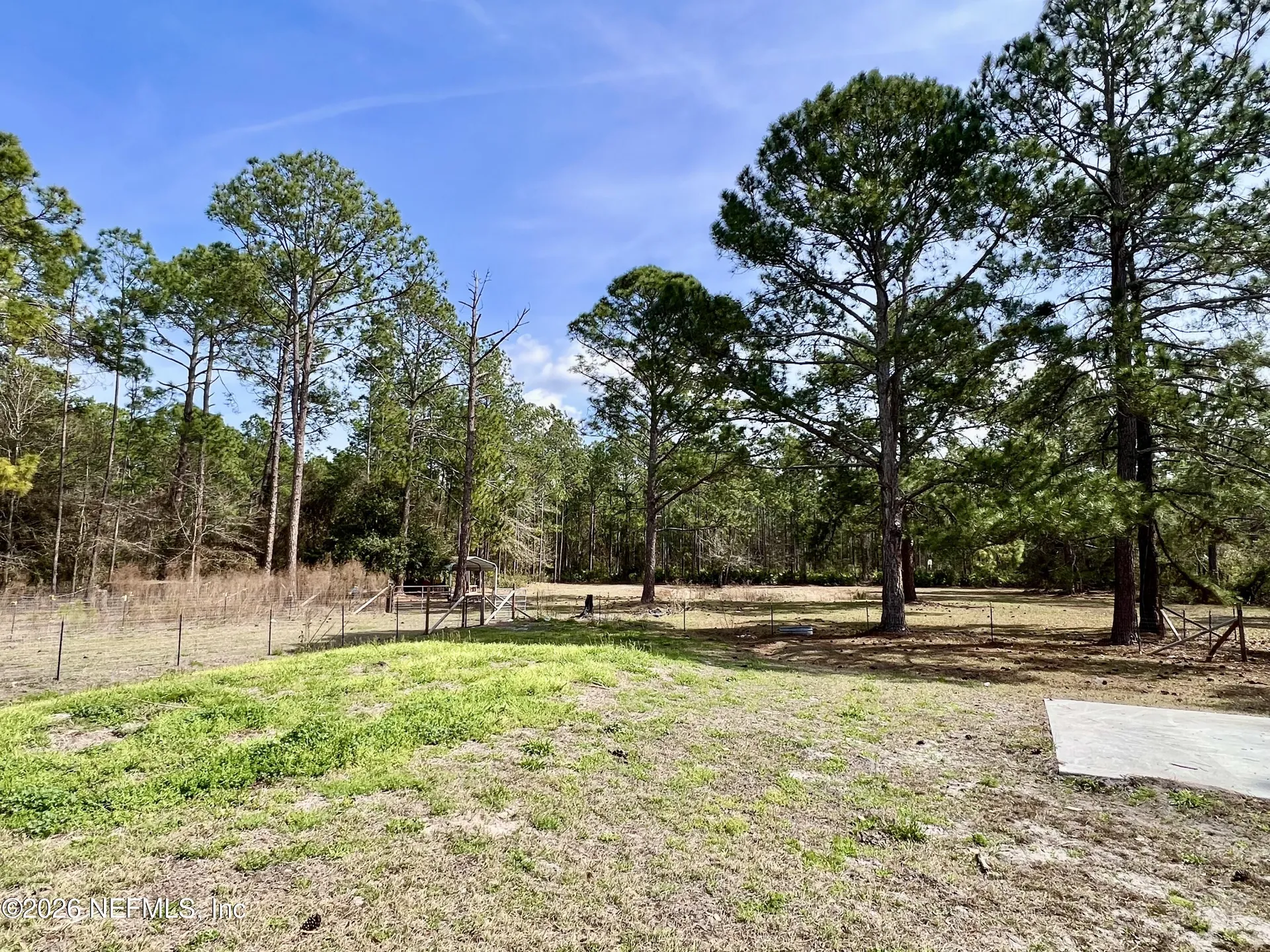 2469 Quarterhorse Trail Middleburg FL 32068