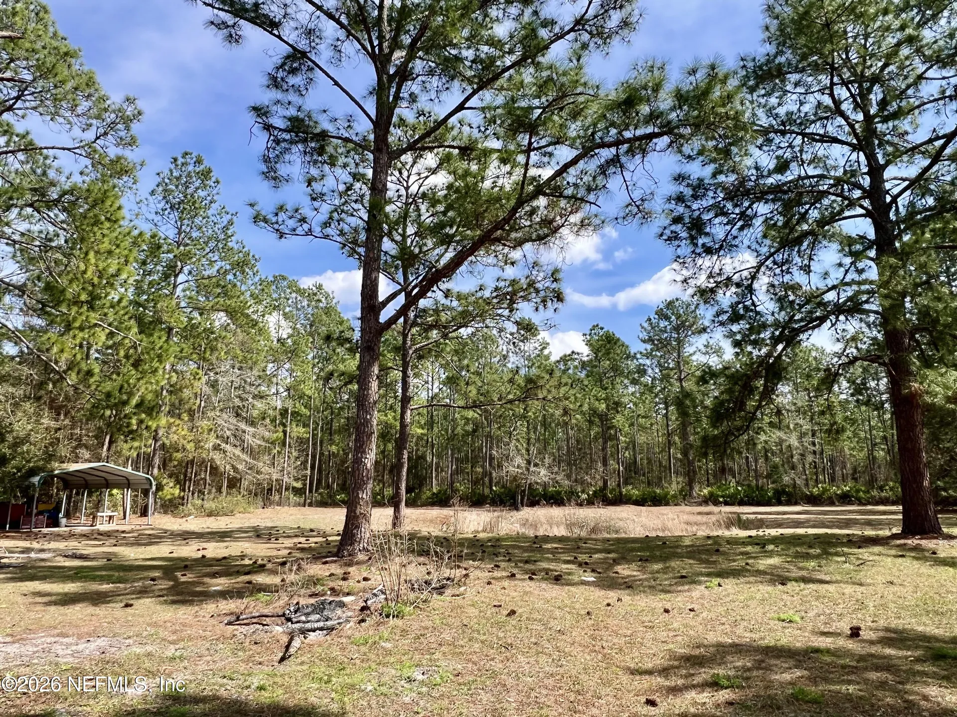 2469 Quarterhorse Trail Middleburg FL 32068