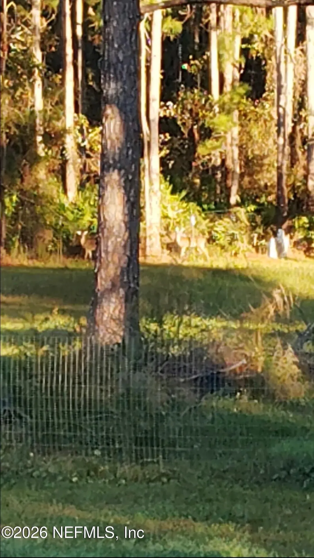 2469 Quarterhorse Trail Middleburg FL 32068