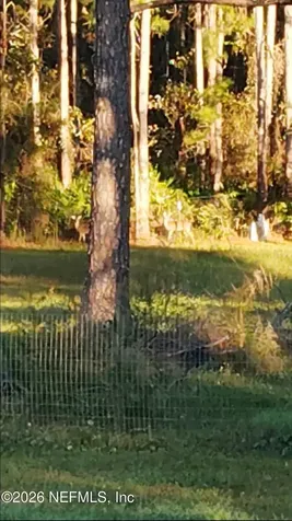 2469 Quarterhorse Trail Middleburg FL 32068