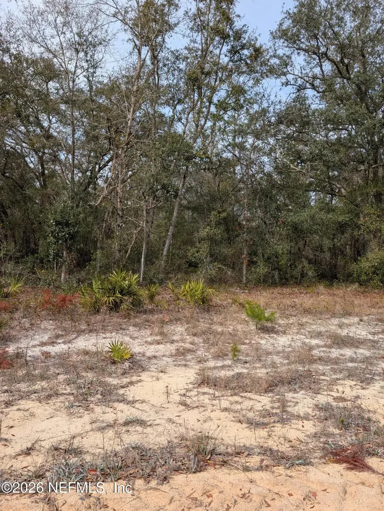 0 David Avenue Interlachen FL 32148