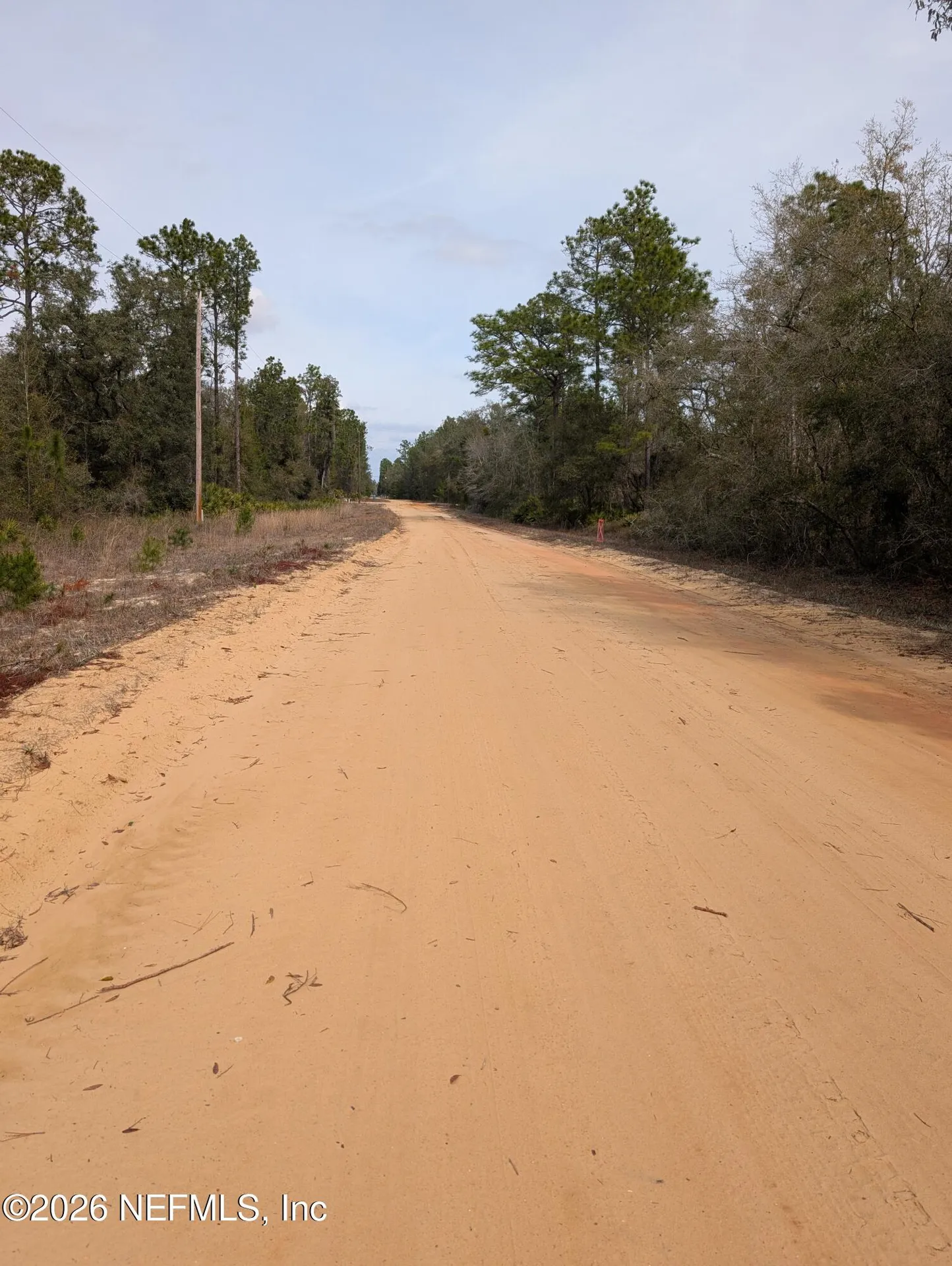 0 David Avenue Interlachen FL 32148