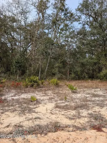 0 David Avenue Interlachen FL 32148