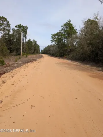 0 David Avenue Interlachen FL 32148