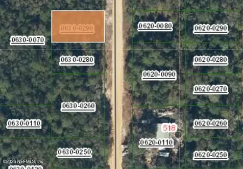 0 David Avenue Interlachen FL 32148