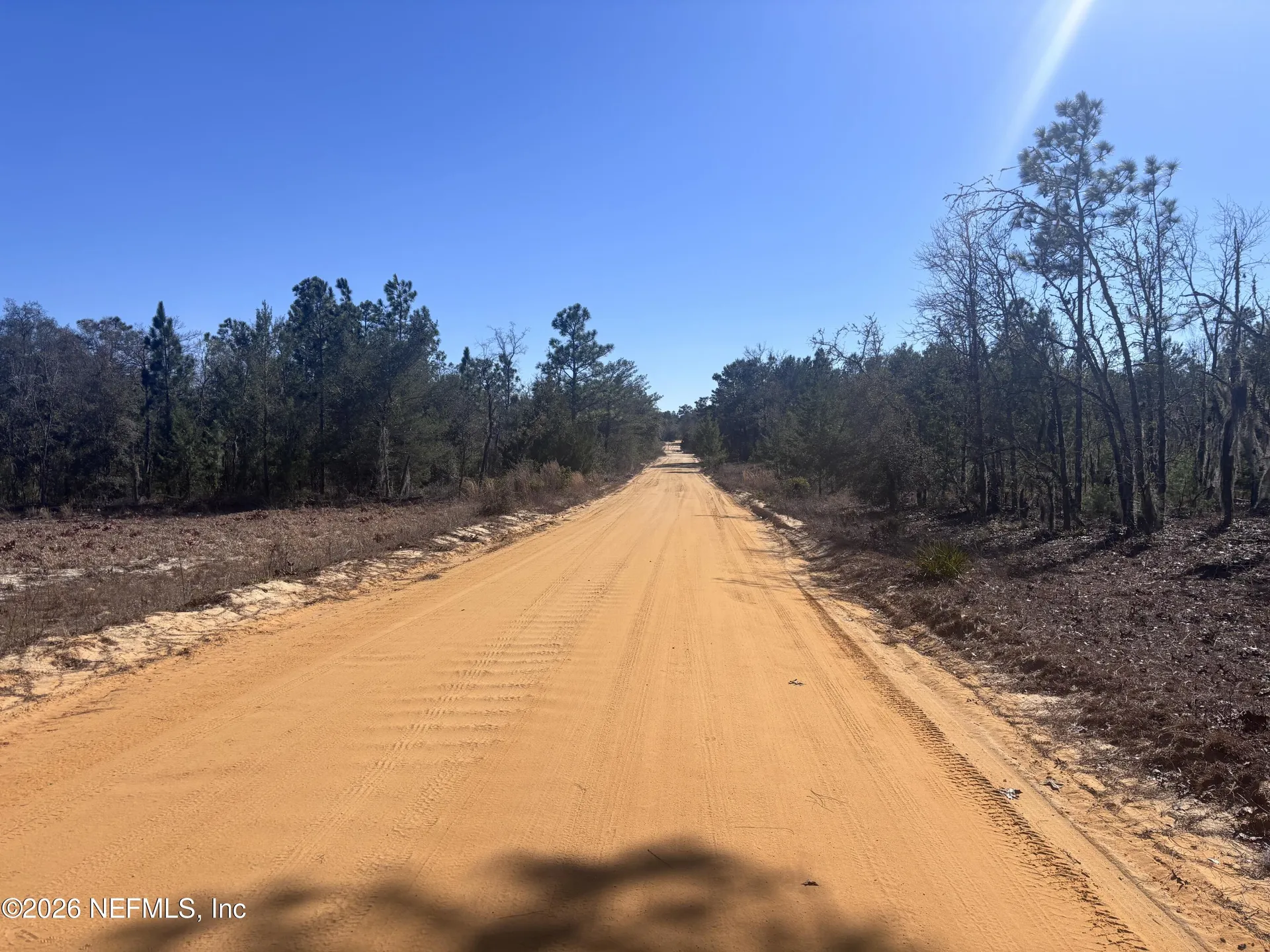 0 Violet Avenue Interlachen FL 32148