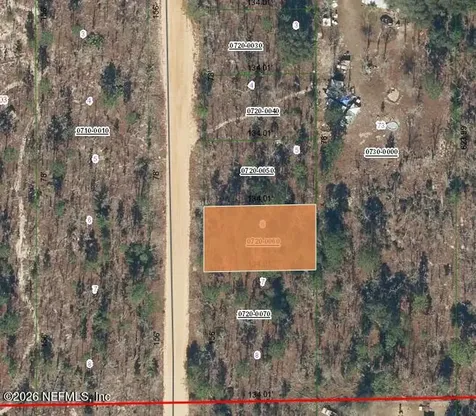 0 Violet Avenue Interlachen FL 32148
