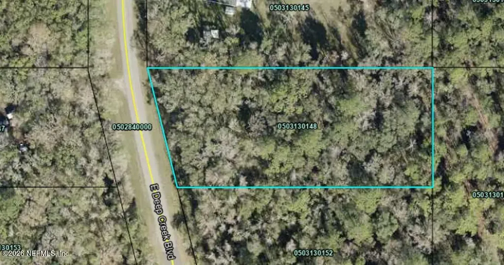 9770 E Deep Creek Boulevard Hastings FL 32145