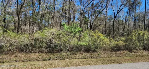 9770 E Deep Creek Boulevard Hastings FL 32145
