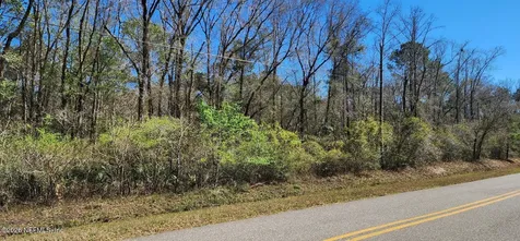 9770 E Deep Creek Boulevard Hastings FL 32145