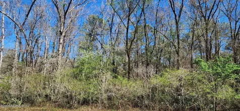 9770 E Deep Creek Boulevard Hastings FL 32145