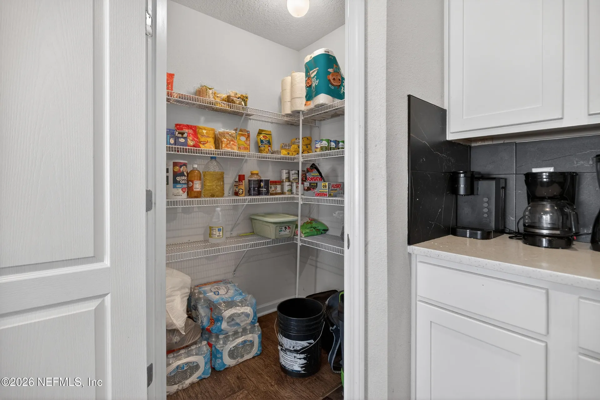804 Cameron Oaks Place Middleburg FL 32068