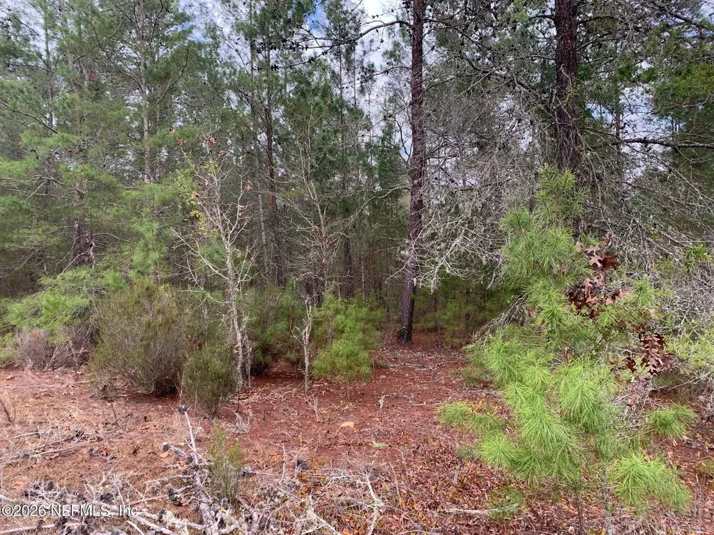 Xxx Street Lucie Avenue Interlachen FL 32148