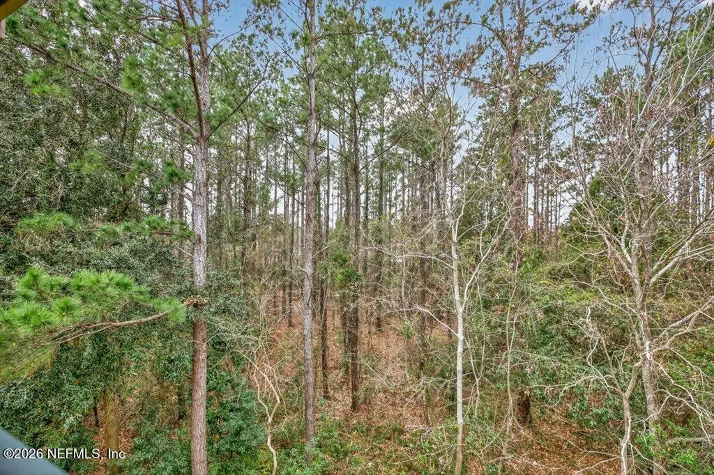 7800 Point Meadows Drive Jacksonville FL 32256