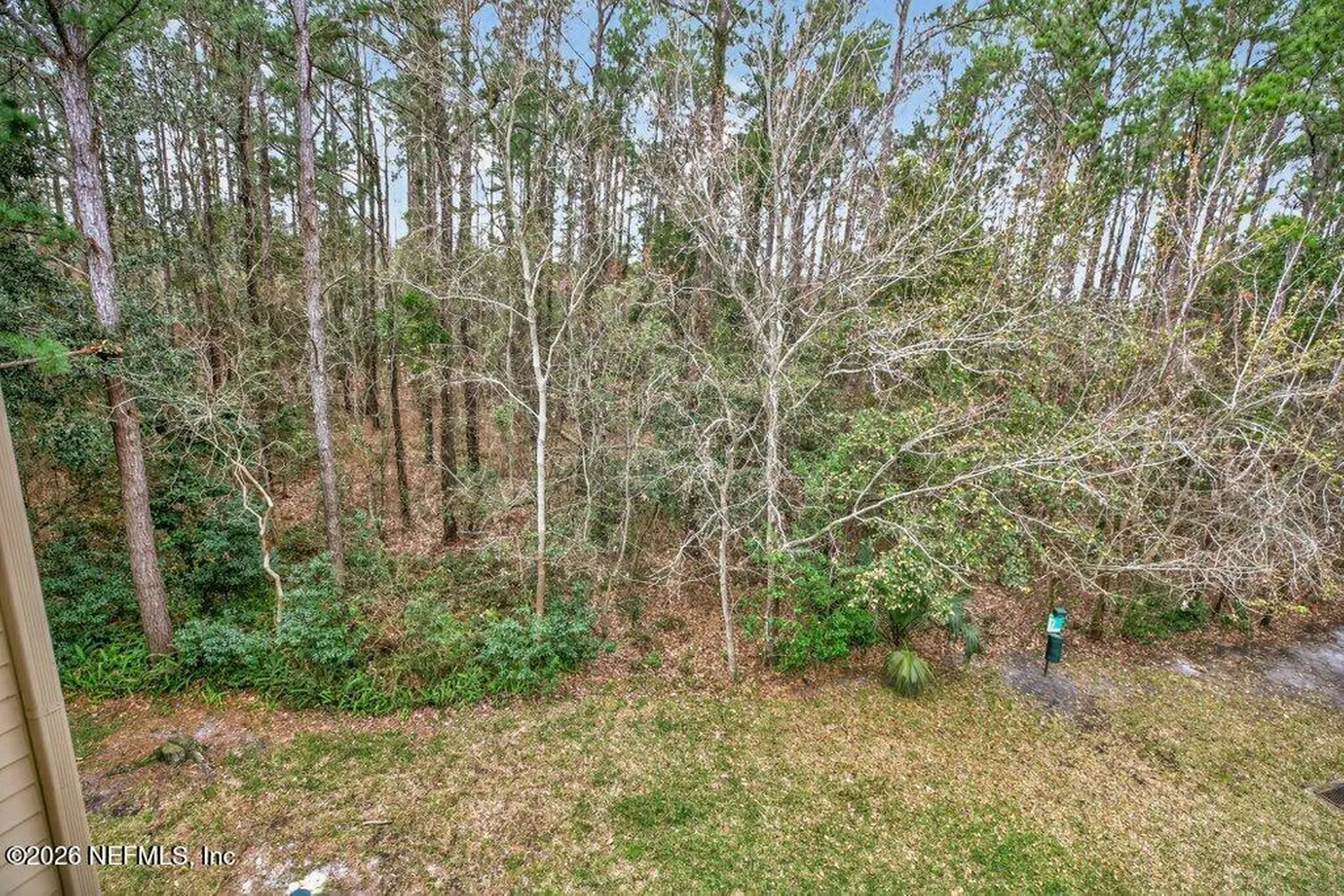 7800 Point Meadows Drive Jacksonville FL 32256