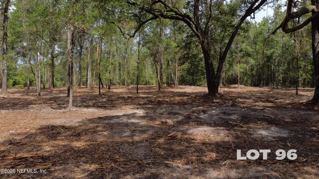 15433 Bullock Bluff Road Bryceville FL 32009