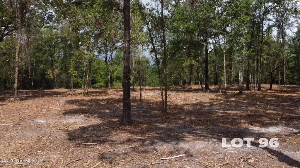 15433 Bullock Bluff Road Bryceville FL 32009