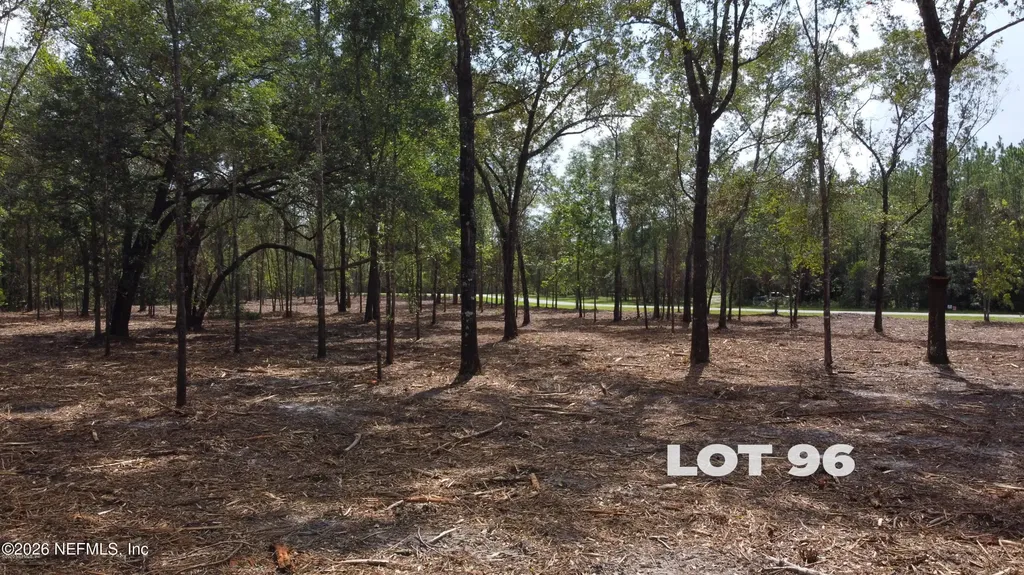 15433 Bullock Bluff Road Bryceville FL 32009