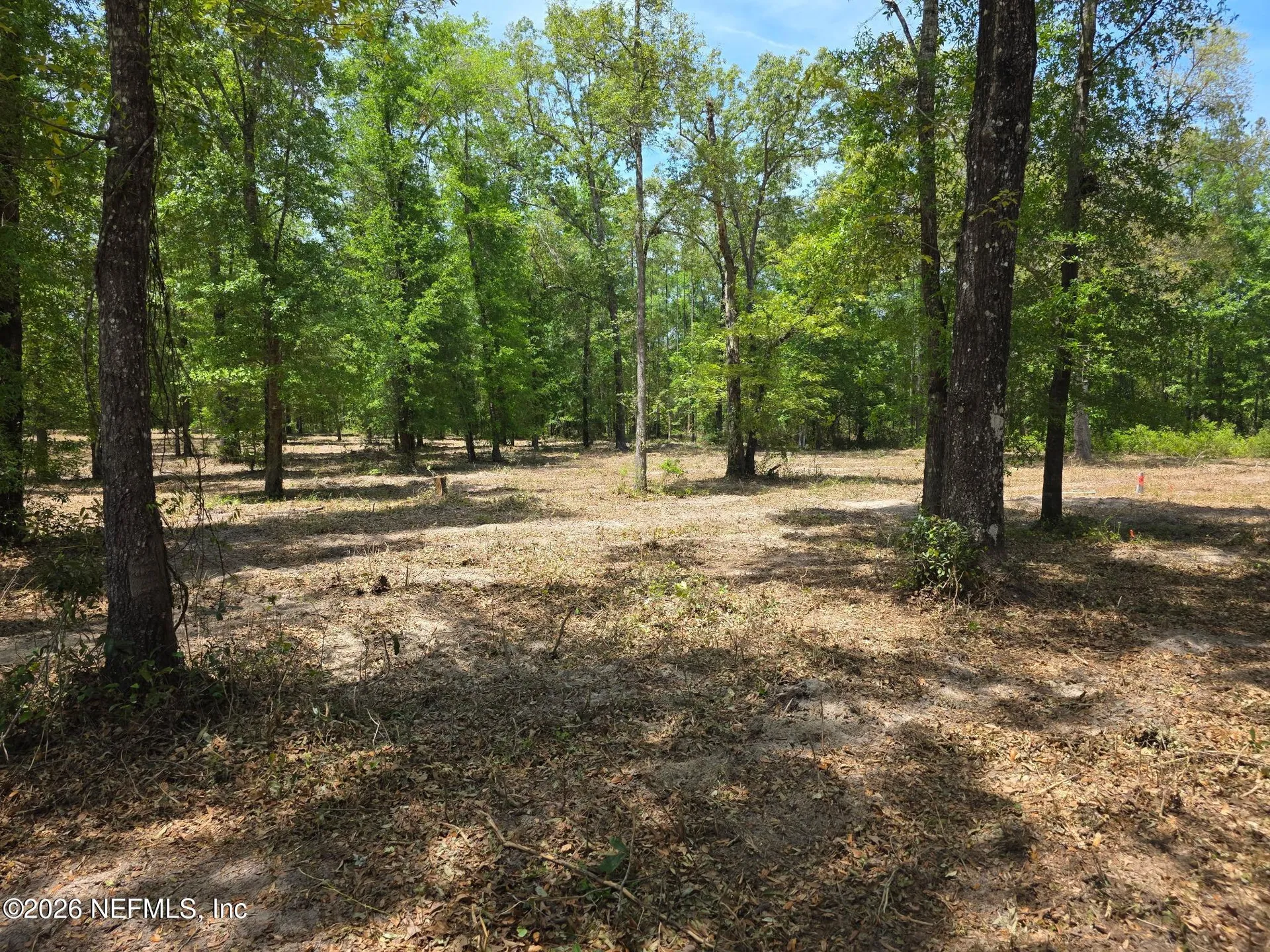 15433 Bullock Bluff Road Bryceville FL 32009