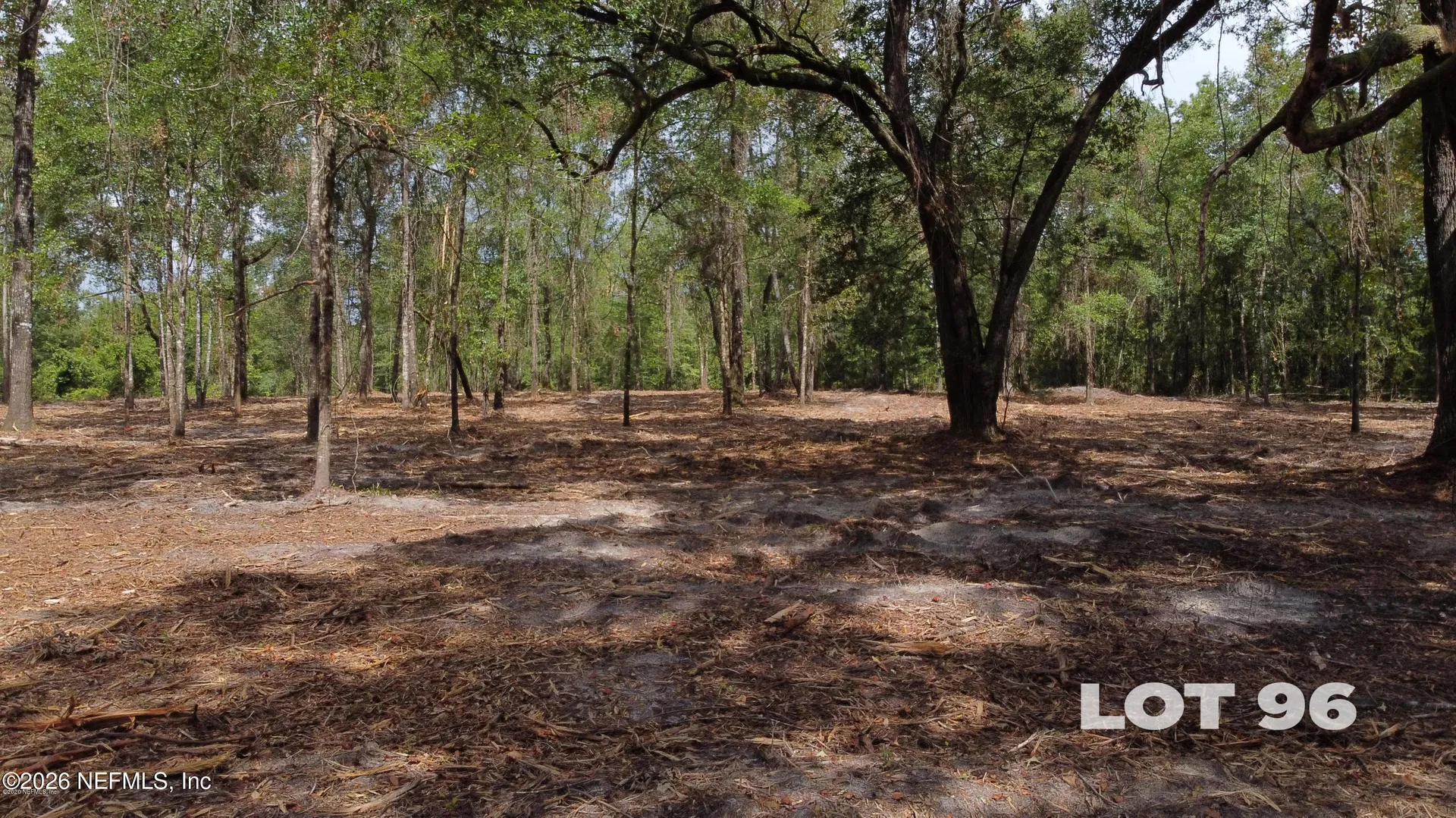 15433 Bullock Bluff Road Bryceville FL 32009