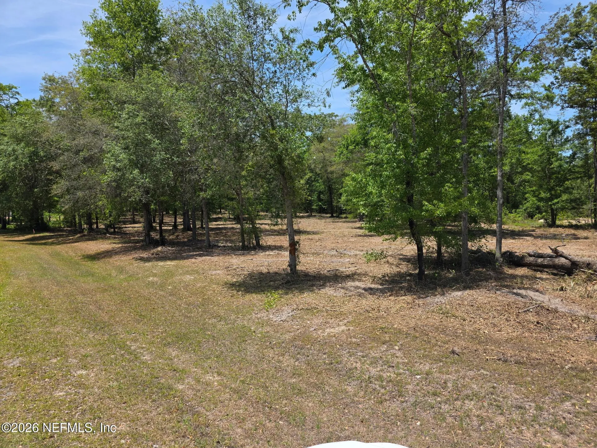 15433 Bullock Bluff Road Bryceville FL 32009
