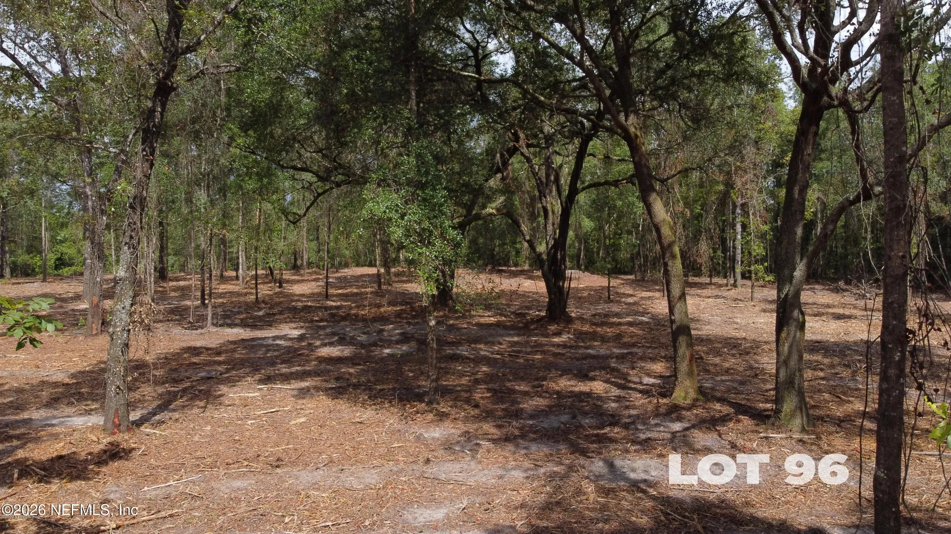15433 Bullock Bluff Road Bryceville FL 32009