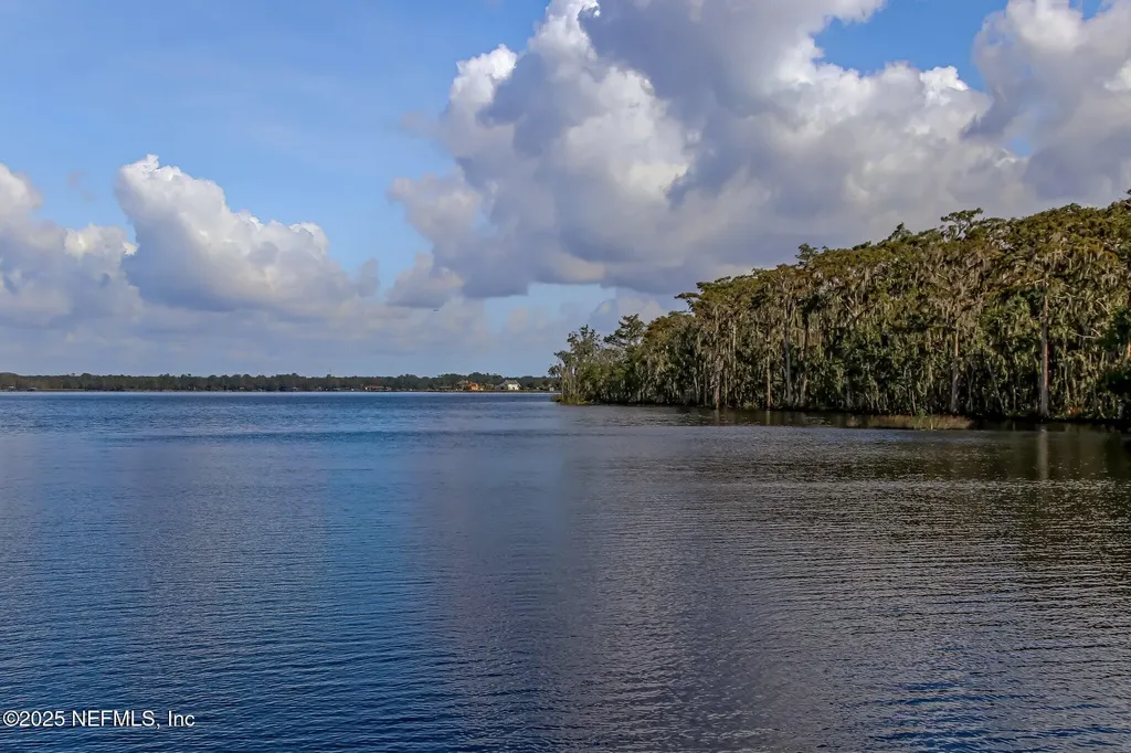 1565 Royal Fern Lane Fleming Island FL 32003