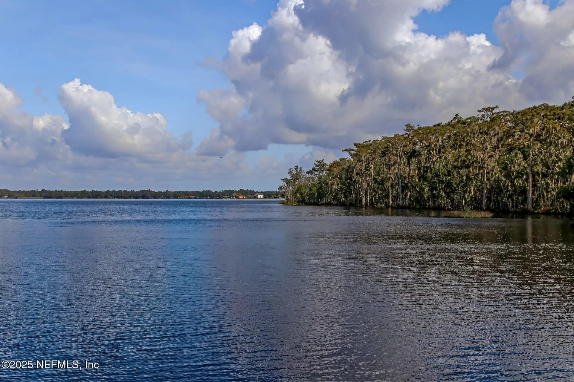 1565 Royal Fern Lane Fleming Island FL 32003