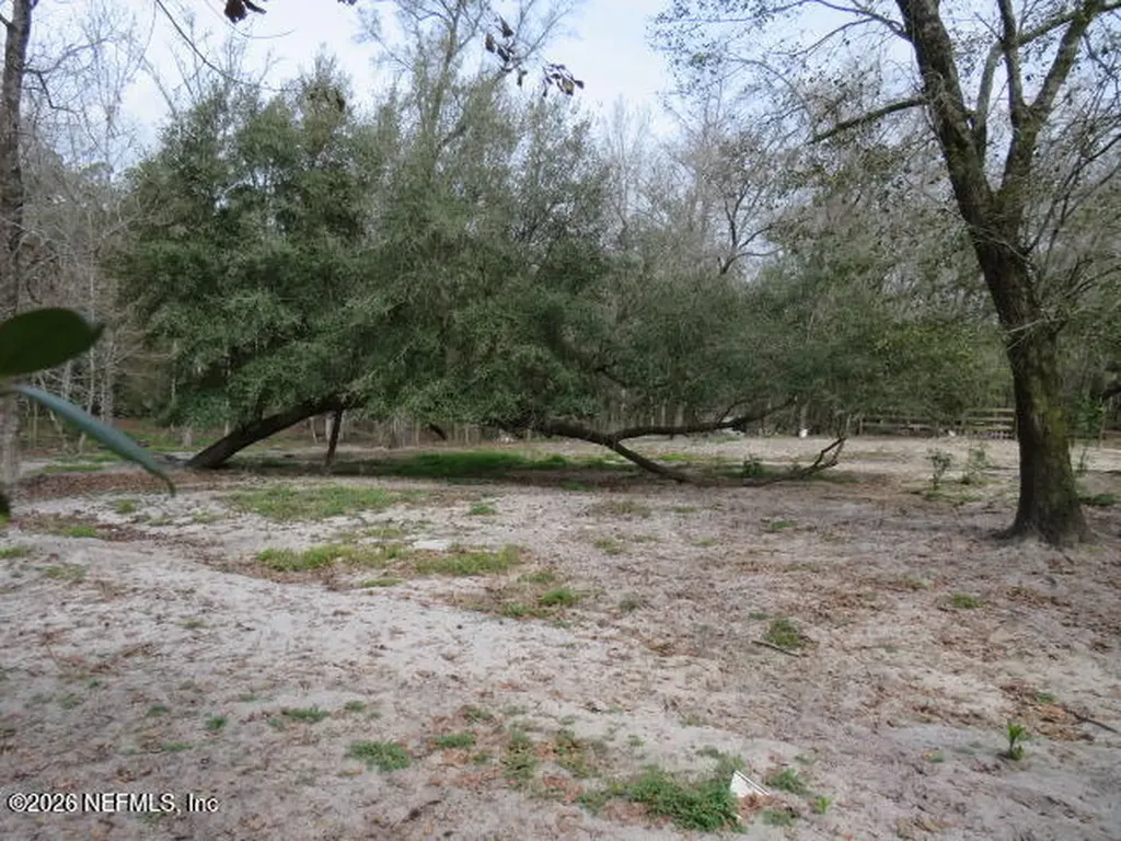 4564 Crazy Horse Avenue Middleburg FL 32068