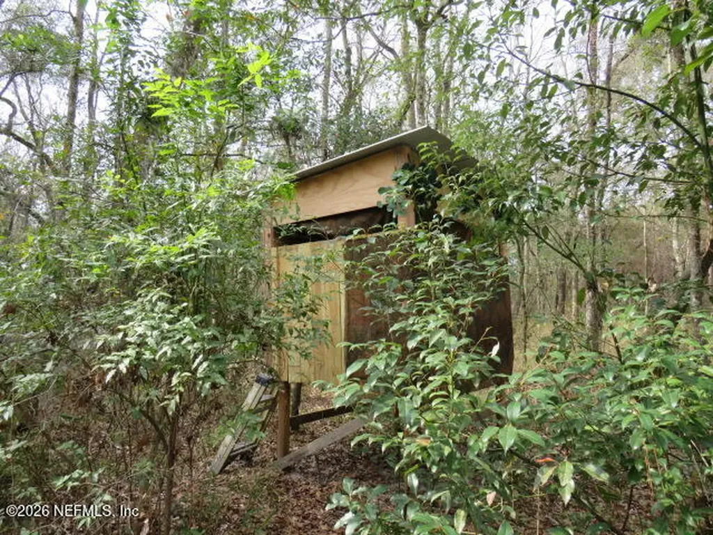 4564 Crazy Horse Avenue Middleburg FL 32068