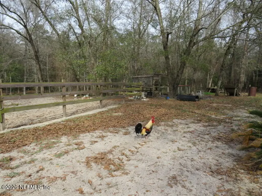 4564 Crazy Horse Avenue Middleburg FL 32068