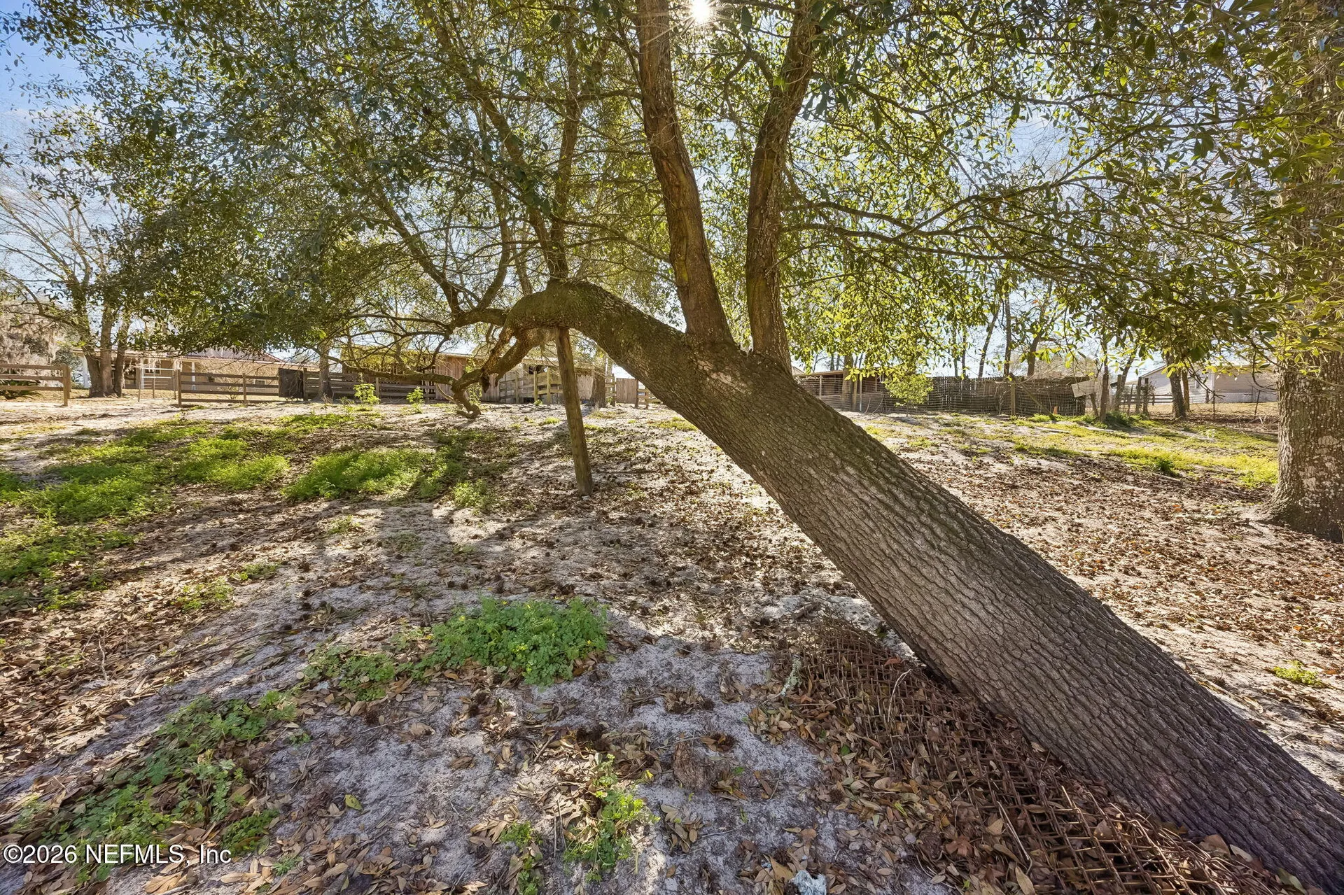 4564 Crazy Horse Avenue Middleburg FL 32068