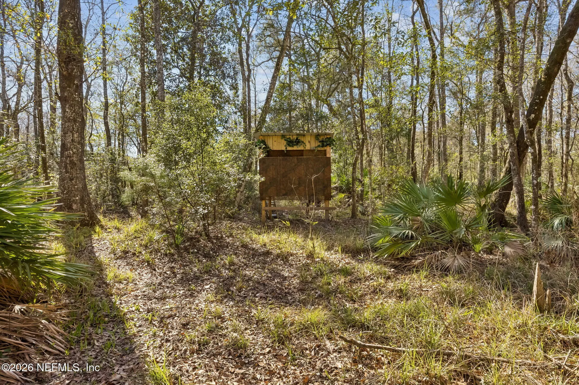 4564 Crazy Horse Avenue Middleburg FL 32068
