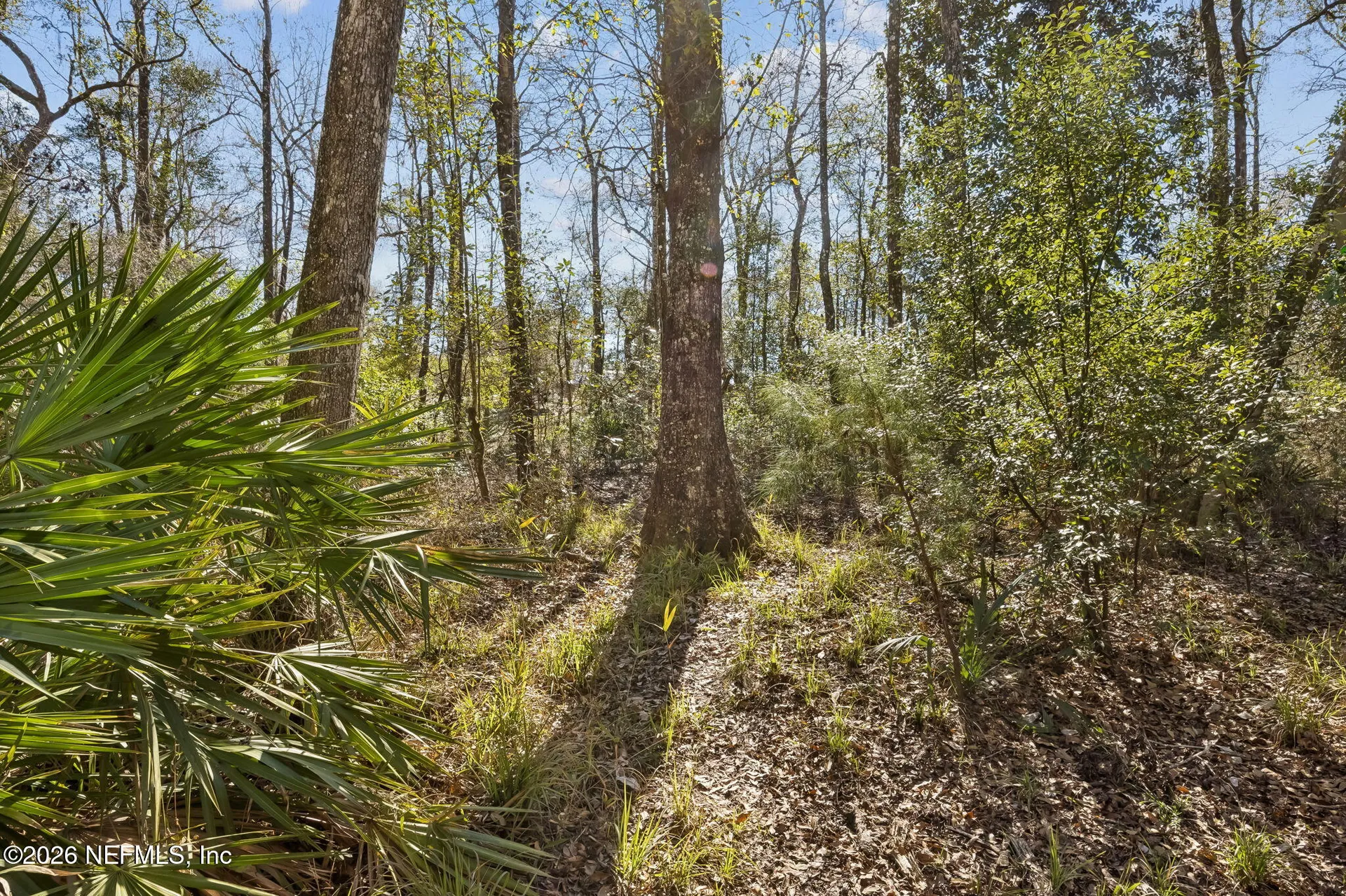 4564 Crazy Horse Avenue Middleburg FL 32068