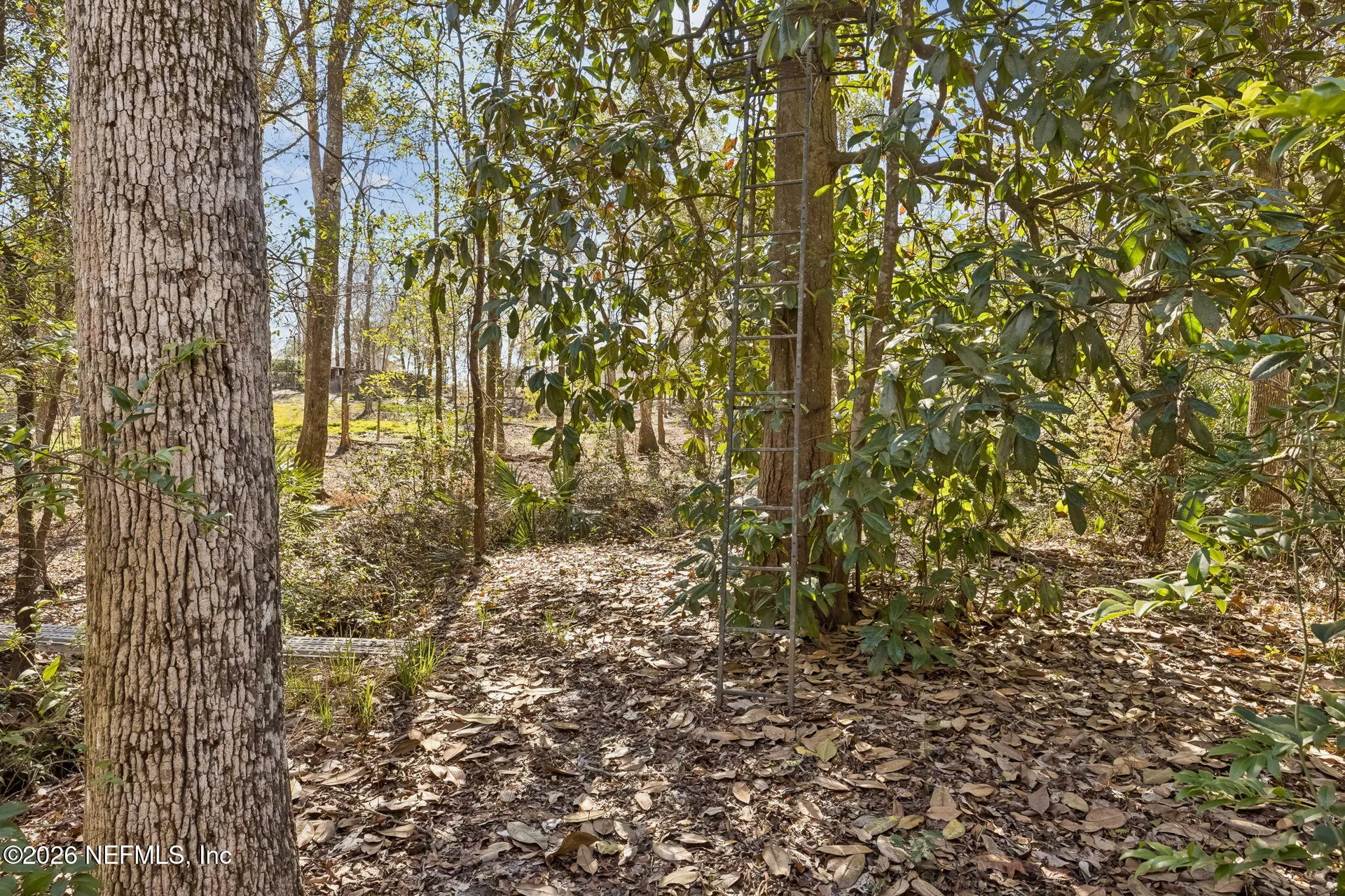 4564 Crazy Horse Avenue Middleburg FL 32068