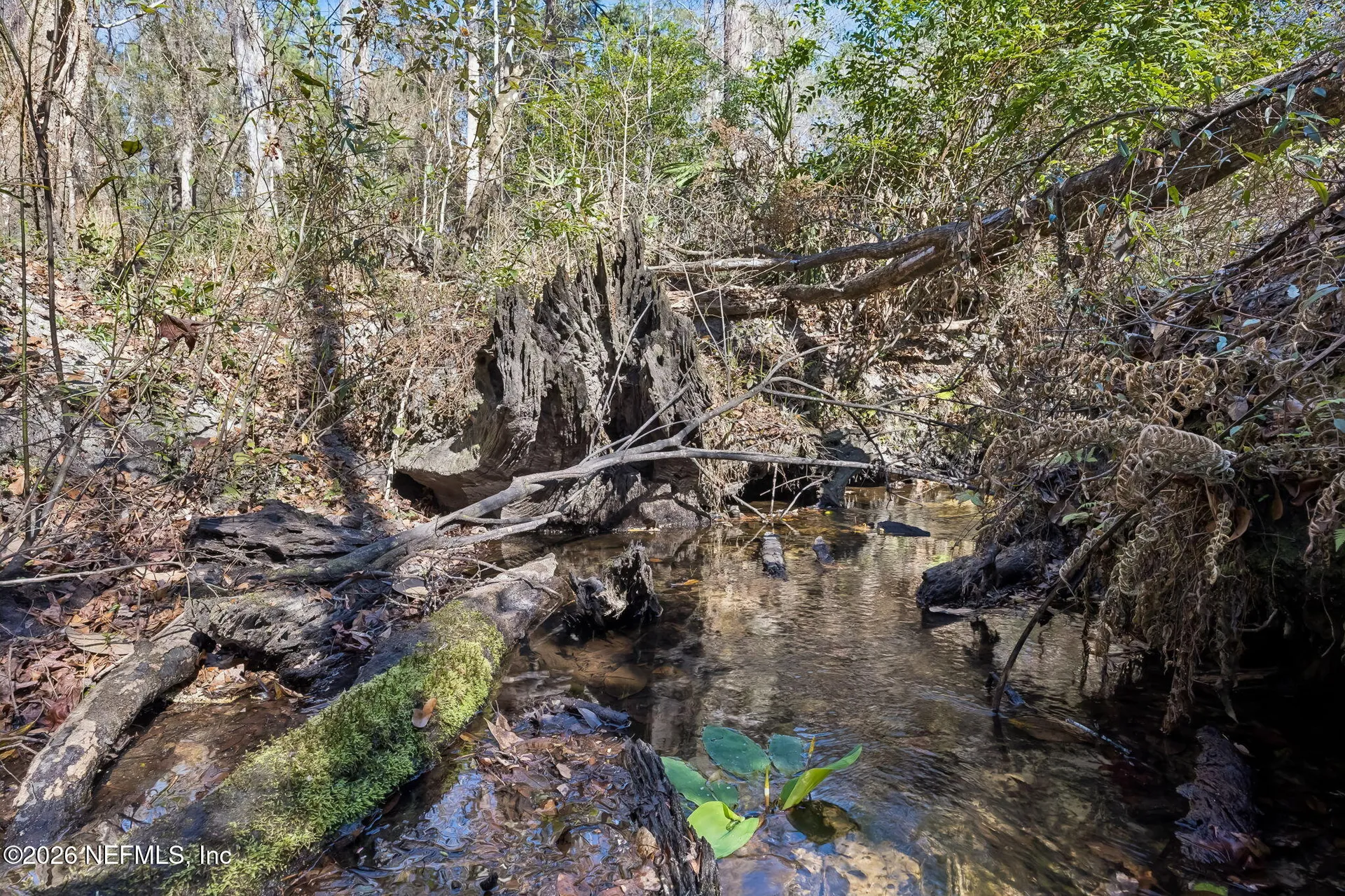 4564 Crazy Horse Avenue Middleburg FL 32068