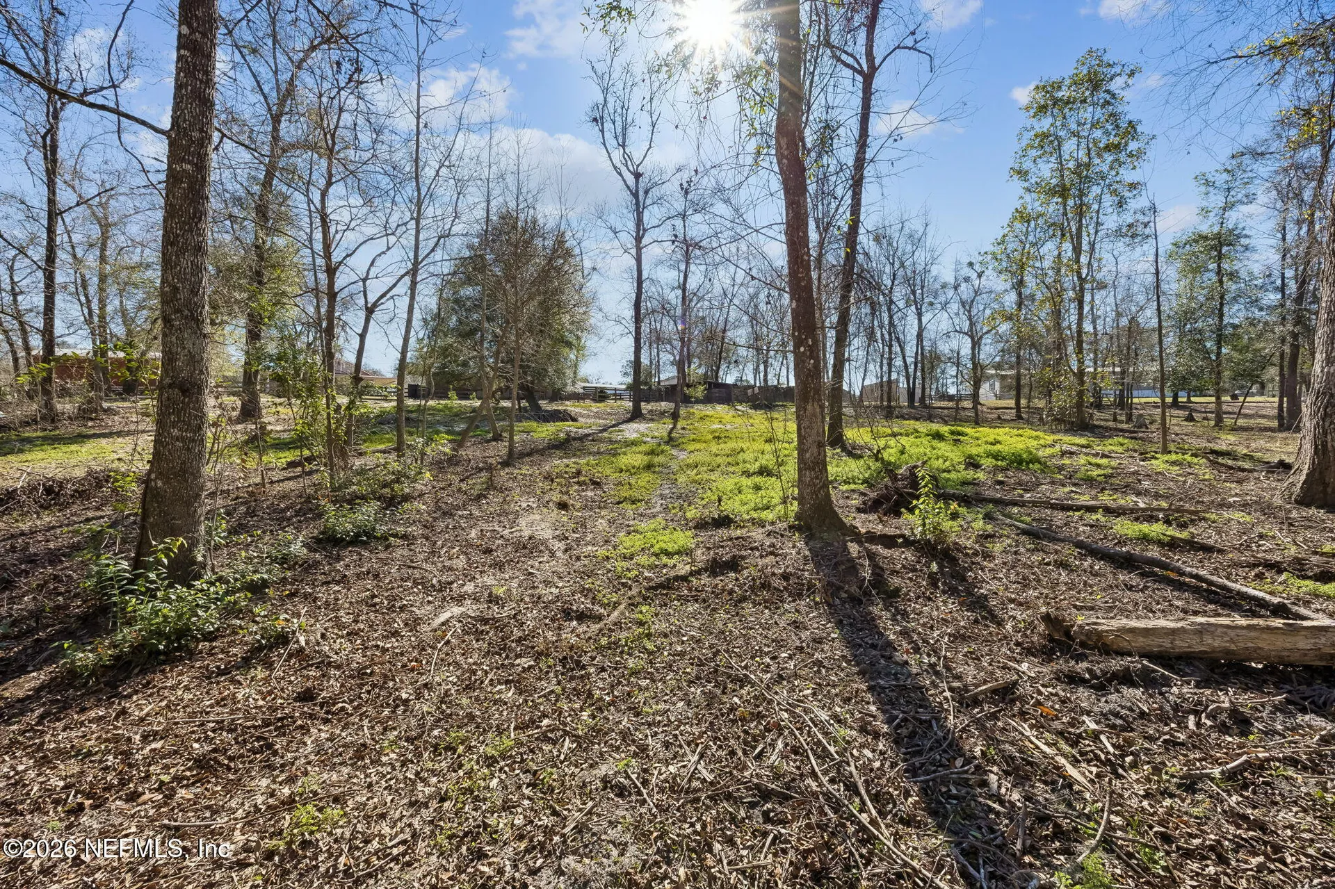 4564 Crazy Horse Avenue Middleburg FL 32068