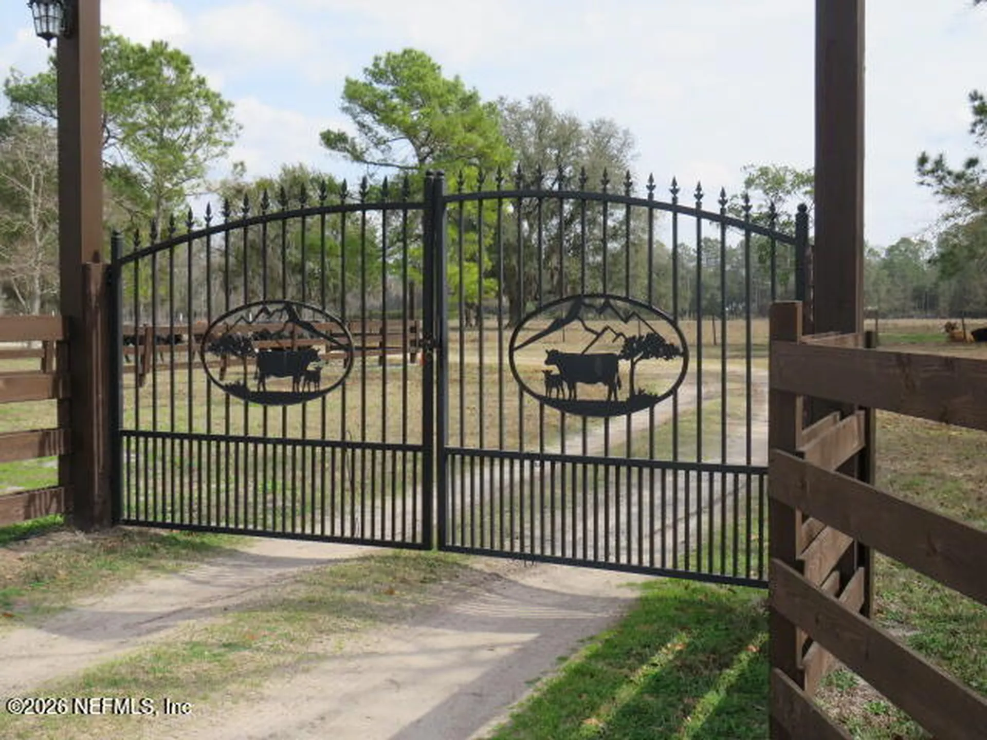 4564 Crazy Horse Avenue Middleburg FL 32068