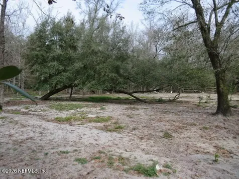 4564 Crazy Horse Avenue Middleburg FL 32068