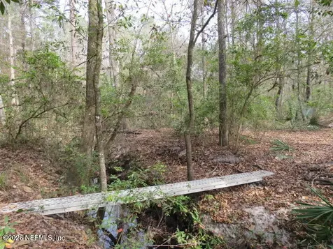 4564 Crazy Horse Avenue Middleburg FL 32068