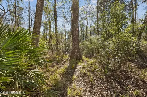 4564 Crazy Horse Avenue Middleburg FL 32068