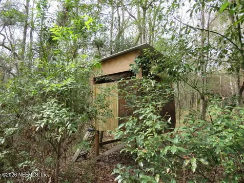 4564 Crazy Horse Avenue Middleburg FL 32068