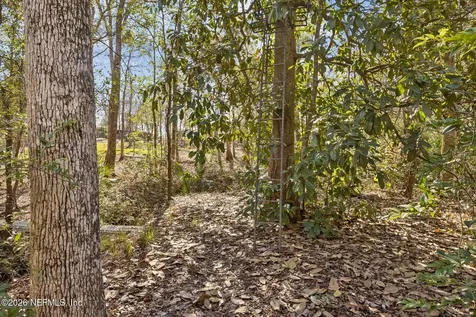 4564 Crazy Horse Avenue Middleburg FL 32068