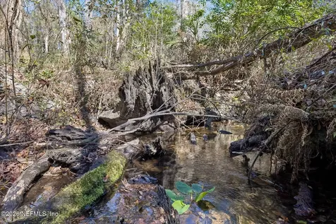 4564 Crazy Horse Avenue Middleburg FL 32068